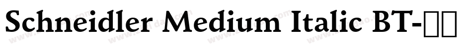 Schneidler Medium Italic BT字体转换